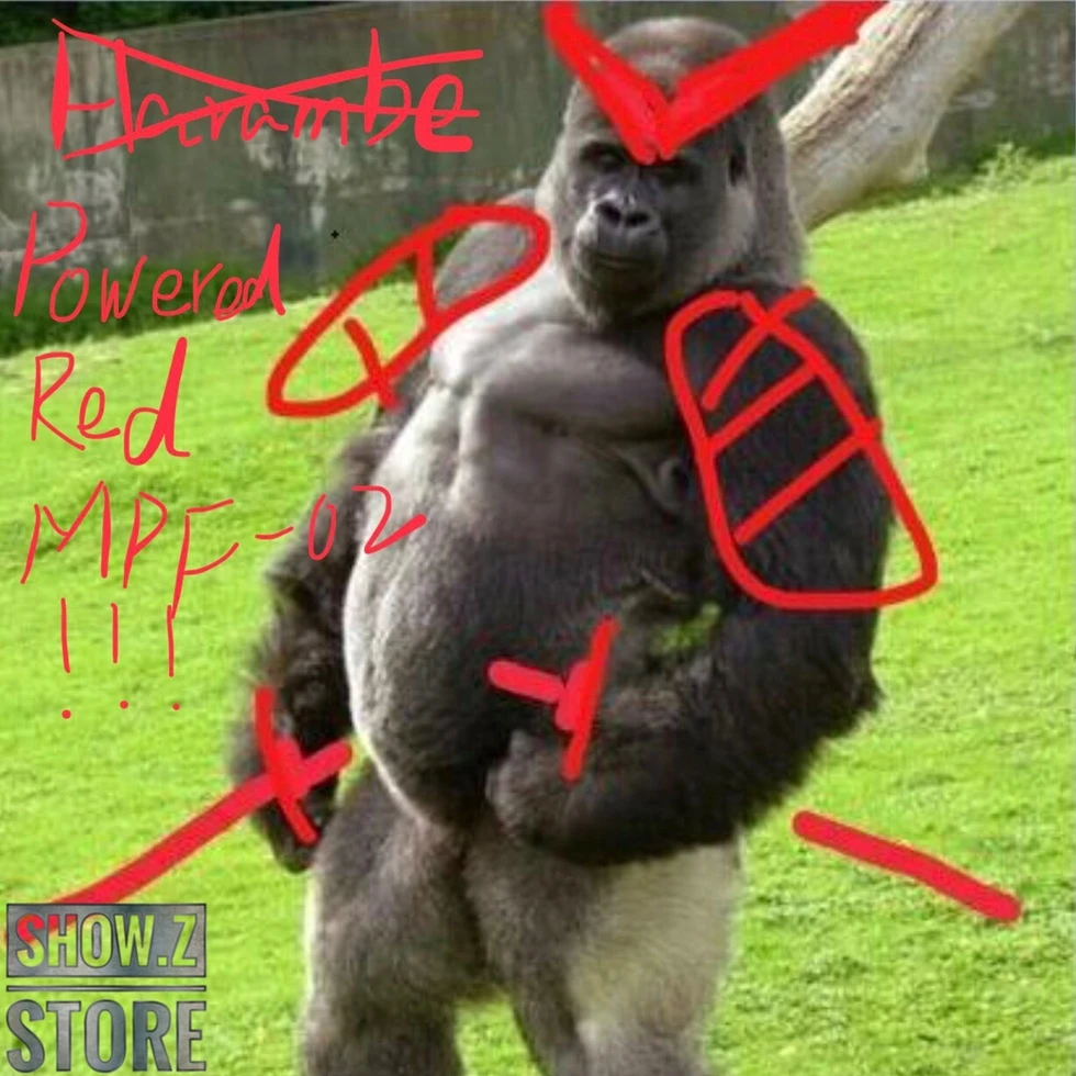 Daban DB Powered Red & 150 Gerbera Straight Upgrade Kit For 1/100 MG MBF-P02 MBFP02 Gundam Astray Red Frame - Image 5